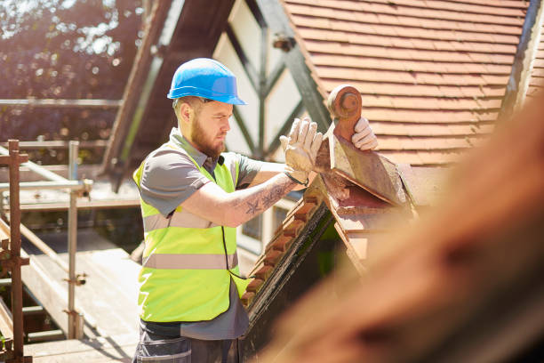 Best Roof Maintenance Services  in Morgantown, IN